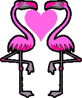 Gif animé amour flamants roses
