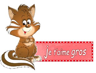 Gif animé je t'aime gros comme ca