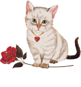 Gif animé amour chat