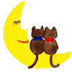 Gif animé amour lune chats