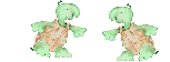 gif amour tortues