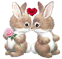 gif lapins amour