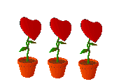 Gif animé amour fleurs