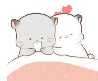 Gif animé amour chats