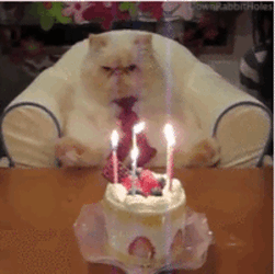 gif joyeux anniversaire