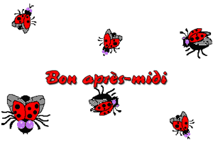 Gif animé bon après-midi coccinelles