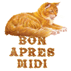 Gif animé bon après-midi chat