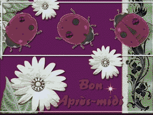 Gif animé bon après-midi fleurs et coccinelles