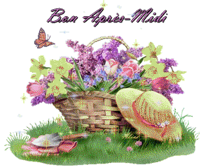 Gif animé bon après-midi panier et papillon