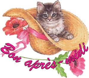 Gif animé bon après-midi chat et chapeau