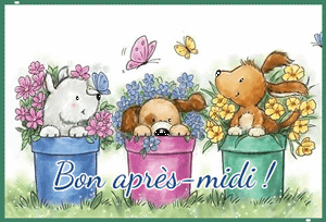 Gif animé bon après-midi chiens