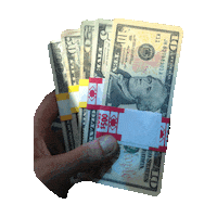 Gif animé billets qyu tournent