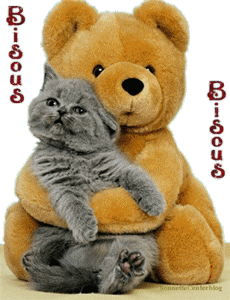 bisous chat et ourson