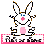plein de bisous lapin