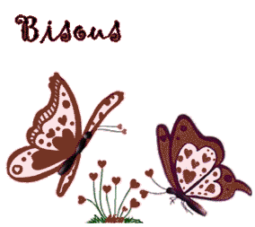bisous papillons