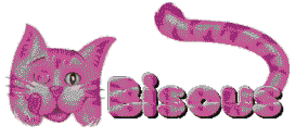 bisous chat