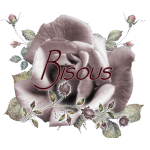 bisous rose blanche