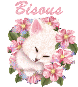 bisous chat