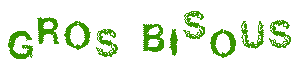 gros bisous