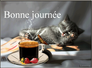bonne journée chats