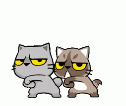 bonne journée chats qui danse