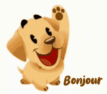 Gifs animés bonjour jolie chien