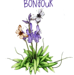 Gif animé bonjour fleurs et papillons