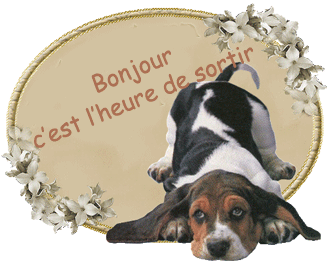 Gif animé bonjour c'est l'heure de sortir