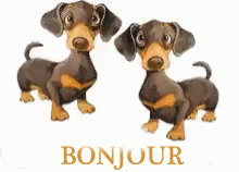 Gif animé bonjour chiens