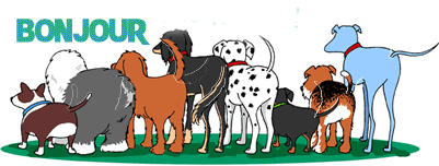 Gif animé bonjour chiens