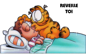 Gif animé bonjour reveille toi