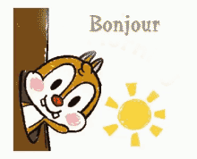Gif animé bonjour ecureil