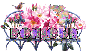 Gif animé bonjour  papillons