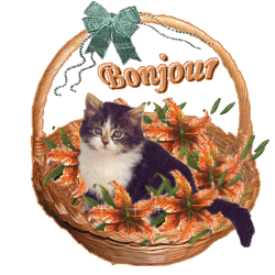 Gif animé bonjour panier