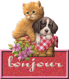 Gif animé bonjour chien et chat