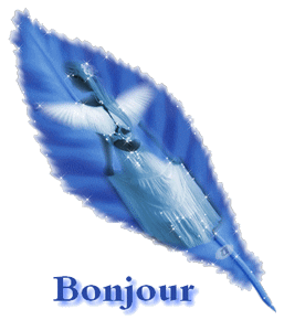 Gif animé bonjour plume