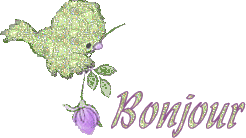 Gif animé bonjour