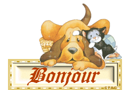 Gif animé bonjour