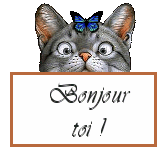 Gif animé bonjour toi