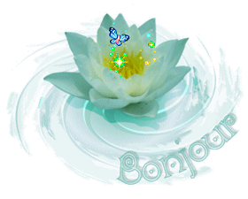 Gif animé bonjour fleur de lotus