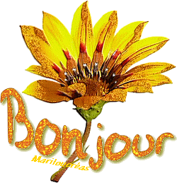 Gif animé bonjour tournrsol