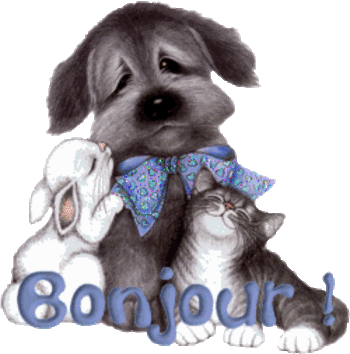 gif animé bonjour animaux