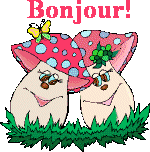 Gif animé bonjour