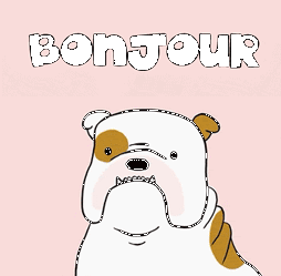 gif animé bonjour chien