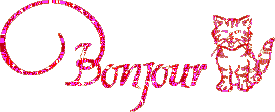 Gifs animés bonjour chat