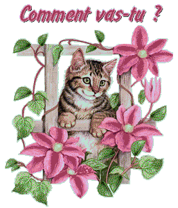 Gif animé comment vas-tu