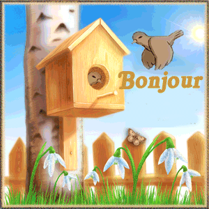 Gifs animés bonjour petits oiseaux