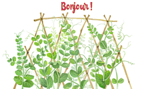 Gifs animés bonjour nature