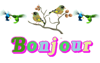 Gifs animés bonjour avec plein d'oiseaux