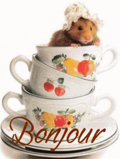 Gifs animés bonjour tasse de café